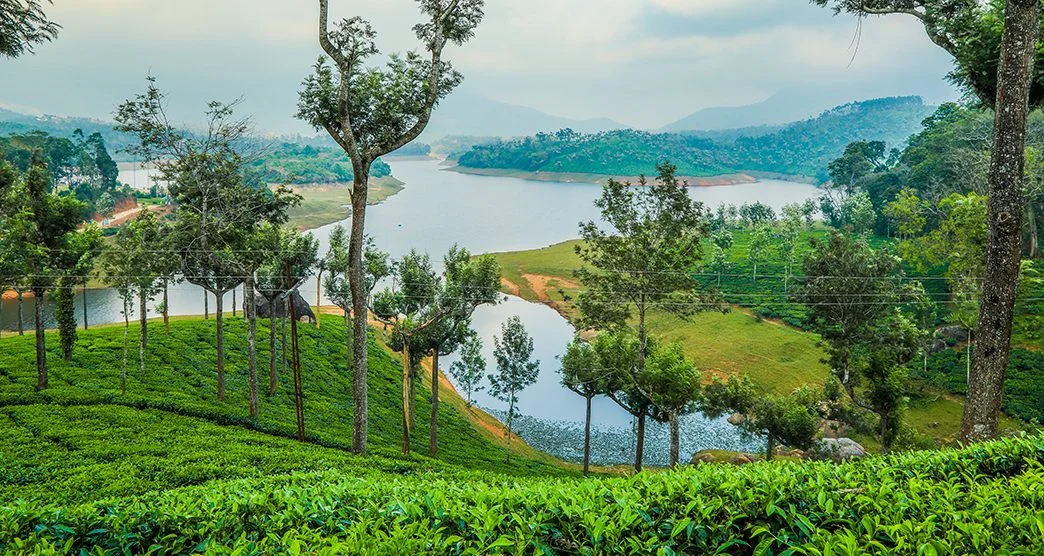 Best of Kerala Tour Package