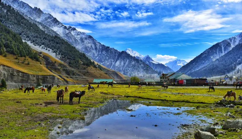 Kashmir Tour Packages