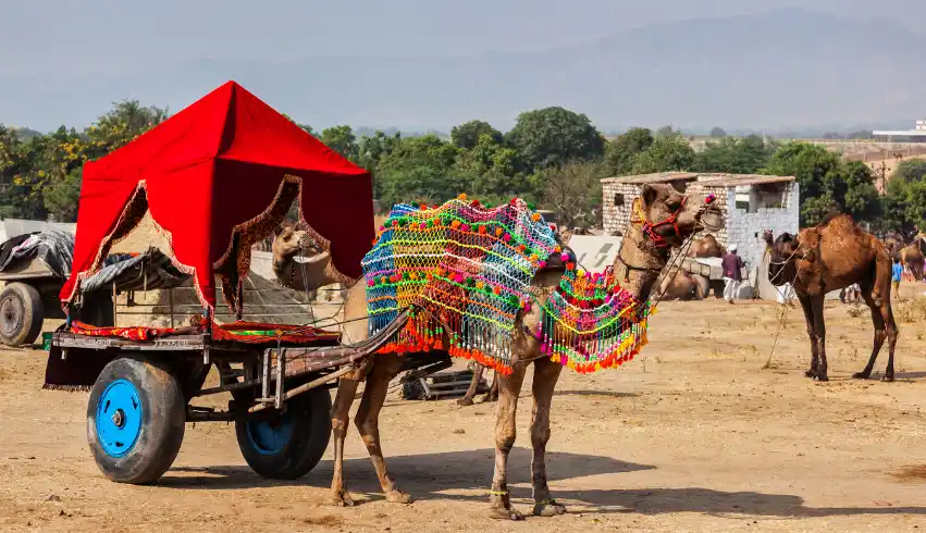 Rajasthan Tour Package