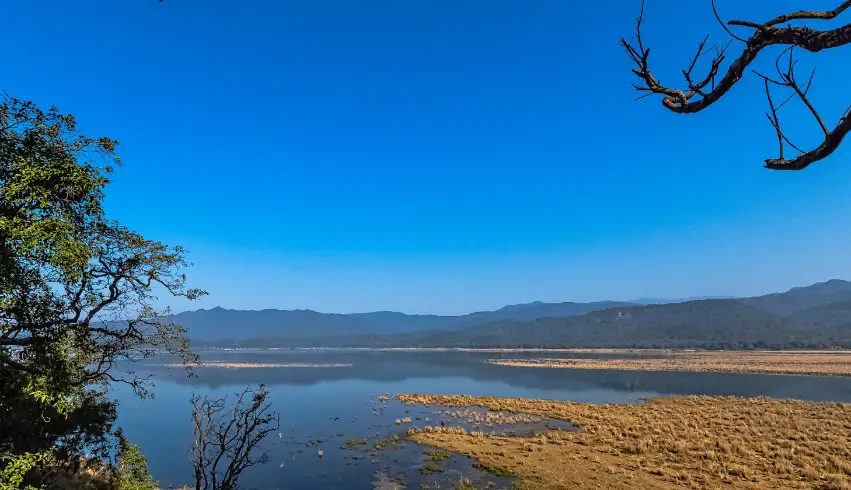 corbett Nainital tour packages